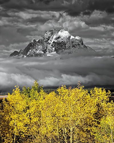 Mt. Moran with Aspens - Grand Teton National Park, Jackson Hole Valley, Wyoming, USA - Original Landscape Photography Art Print for Office and Home Decor 12" by 15" Photograph on Kodak ENDURA professional photo paper