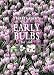 Book Early Bulbs (Plantfinder's Guides)