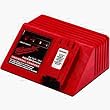 Milwaukee Accessory 48590255 Universal Battery Charger
