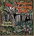 A Woodland Counting Book (Bur Oak Book)