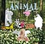 Baby's First: Animal Songs