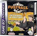 Die wilden Fussball-Kerle - Entscheidung im Teufelstopf