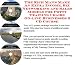 Check out The Rich Man's Make An Extra Income, Biz Networking and Sales Models for Potty Training Chairs On-line Businesses 3 CD Course