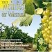 Weinfest der Volksmusik - Wein, Wein - nur du allein