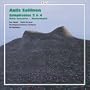 Aulis Sallinen: Symphonies 2 & 4; Horn Concerto; Mauermusik
