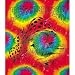 Magic Mushroom Fabric Tapestry Wall Hanging Image