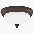 Westinghouse Lighting 64291 Ceiling Fixture