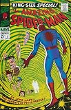 Review Marvel  / The Amazing Spider-Man Annual #5 (Vol. 1)