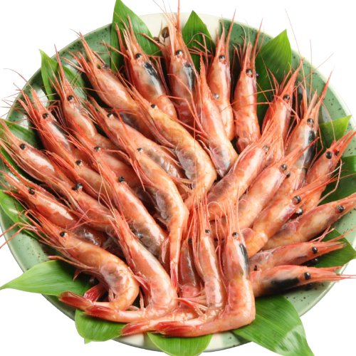 大サイズ完熟甘えび５００ｇ（約３０尾）　獲りたて急速冷凍⇒ぷりぷり食感がたまらない！甘海老/甘エビ