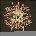 NEW Harley Davidson Mens Long sleeve Shirt