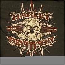 NEW Harley Davidson Mens Long sleeve Shirt