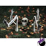 Lighted Groundbreaker Skeleton Body Parts