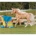 Reeves (Bryer) Int'l Pony Gals Dixie