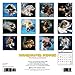 Underwater Puppies 2015 Mini Calendar