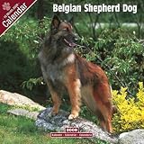 Eigenschaften Avonside Publishing Ltd.  / Kalender 2009 Belgischer Schäferhund