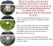 The Ultimate Earn More Money, Inner Game and Accounting & Finance for Shopping Carts On-line Businesses 3 CD Power Pack