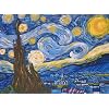 Van Gogh A STARRY NIGHT Acrylic Painting Kit 12 x 16