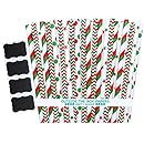 Outside the Box Papers Red, Green and White Stars, Stripes and Polka Dot Paper Straws Christmas Holiday Party Supply Biodegradable 7.75 Inches Pack of 100