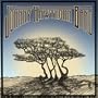 Johnny Hawthorn Band