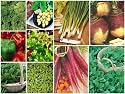 10 packs of vegetable seeds - Spinach,Lettuce,Rocket +