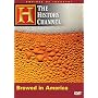 Empires of Industry - Brewed in America (History Channel)