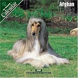 Afghan 2007 Dog Calendar