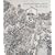 Vincent Van Gogh: The Drawings (Metropolitan Museum of Art Series)