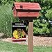 Chicago Blackhawks Black Double Sided Garden Flag