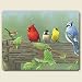 Highland Graphics Rail Birds Tempered Glass Cutting Board