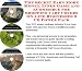 The Secret Earn More Money, Inner Game and eCommerce for Shopping Cart Covers On-line Businesses 3 CD Power Pack