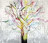 Rosetta A Determinism of Morality