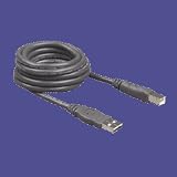 USB Cable, 2.0, Supports 127 Devices, 480Mbps, 6'Cord,Black (BLKF3U13306G) Category: Cable Management Supplies