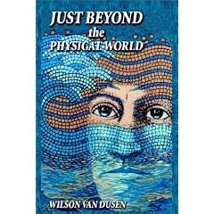 Just Beyond the Physical World