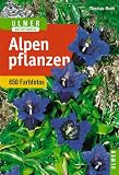 Buch