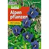 Alpenpflanzen