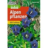 Alpenpflanzenvon "Thomas Muer"