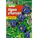 Alpenpflanzen