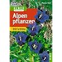 Alpenpflanzen