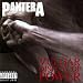 Vulgar Display Of Power (US Release) [Explicit]