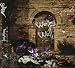 Wailing Wall(��������)(DVD��)
