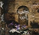 Wailing Wall(��������)(DVD��)()