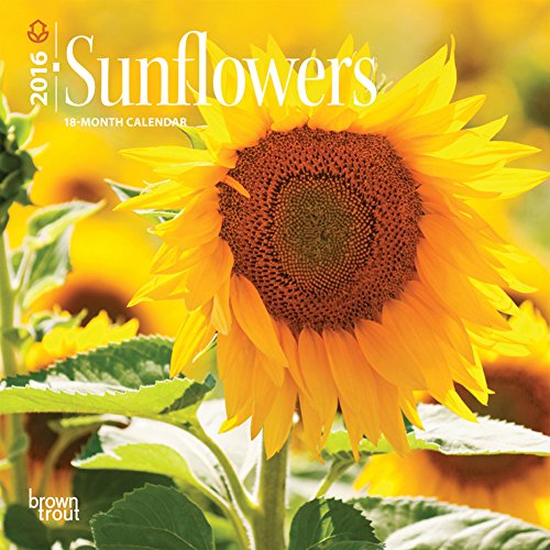 Sunflowers - 2016 Mini Wall Calendar 7 x 7in