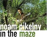 Revue Noam Pikelny  / In the Maze