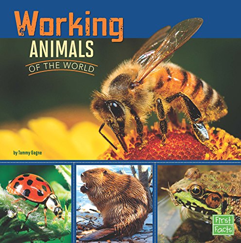 Working Animals of the World (All About Animals)