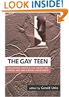 The Gay Teen: Educational Practice and Theory for Lesbian, Gay and Bisexual Adolescents