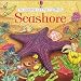 Seashore (Usborne Lift the Flap Learner)