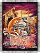 Cleveland Browns Home Field Advantage Woven Tapestry Throw Blanket - NFL Football Fan Shop