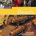 Book Craft Workshop: Beads (Craft Workshop)