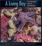 A Living Bay: The Underwater World of Monterey Bay