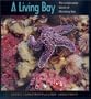 A Living Bay: The Underwater World of Monterey Bay